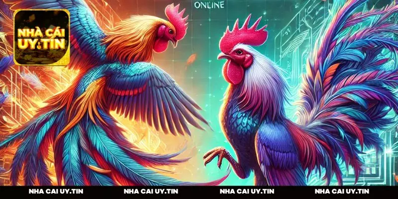 Yếu tố làm nên tên tuổi của đá gà BJ88 Thomo