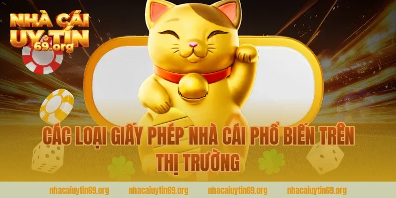 Các Loại Giấy Phép Nhà Cái Phổ Biến Trên Thị Trường