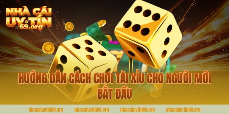 Hướng Dẫn Cách Chơi Tài Xỉu Cho Người Mới Bắt Đầu