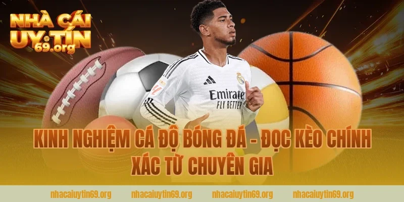 Kinh Nghiệm Cá Độ Bóng Đá – Đọc Kèo Chính Xác Từ Chuyên Gia