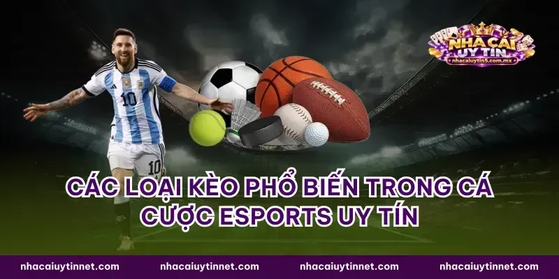 Các loại kèo phổ biến trong cá cược esports uy tín