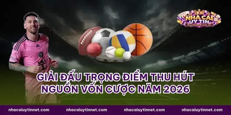 Giải đấu trọng điểm thu hút nguồn vốn cược năm 2026