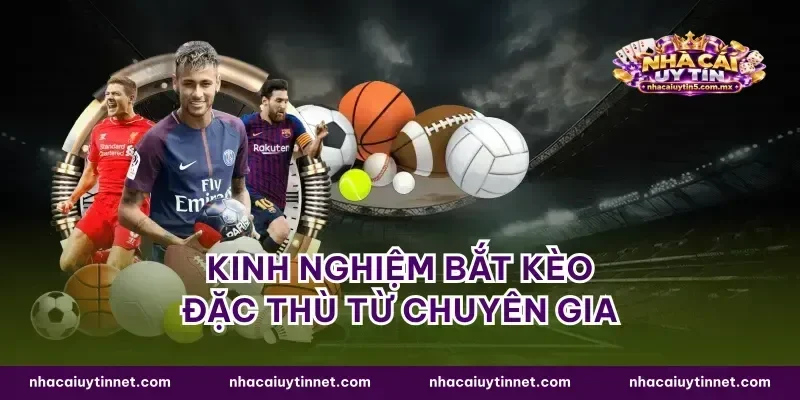 Kinh nghiệm bắt kèo đặc thù từ chuyên gia