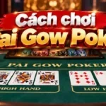 cach-choi-paigow-poker