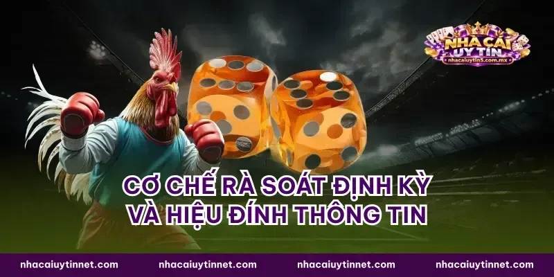 Cơ chế rà soát định kỳ và hiệu đính thông tin