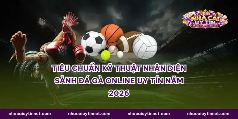 Tiêu chuẩn kỹ thuật nhận diện sảnh đá gà online uy tín năm 2026