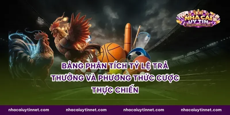 Bảng phân tích tỷ lệ trả thưởng và phương thức cược thực chiến