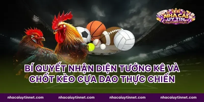 Bí quyết nhận diện tướng kê và chốt kèo cựa dao thực chiến