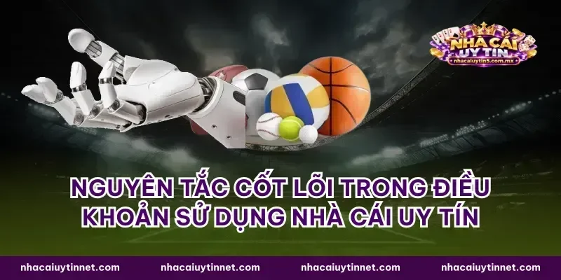 Nguyên tắc cốt lõi trong điều khoản sử dụng nhà cái uy tín
