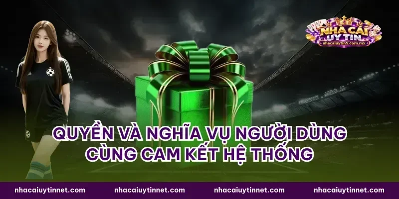 Quyền và nghĩa vụ người dùng cùng cam kết hệ thống