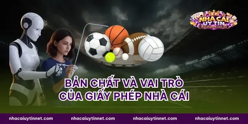 Bản chất và vai trò của giấy phép nhà cái