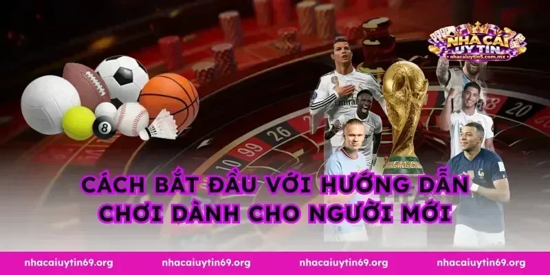 Cách bắt đầu với hướng dẫn chơi dành cho người mới