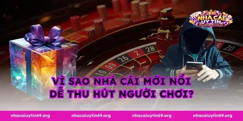 Vì sao nhà cái mới nổi dễ thu hút người chơi?