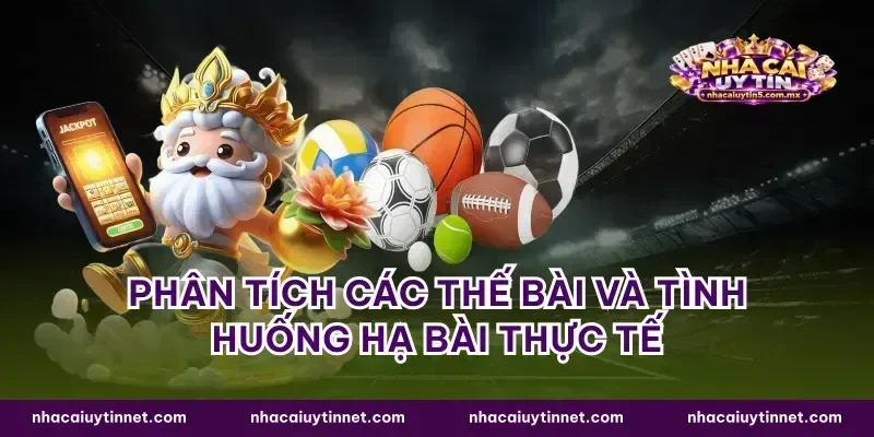Phân tích các thế bài và tình huống hạ bài thực tế