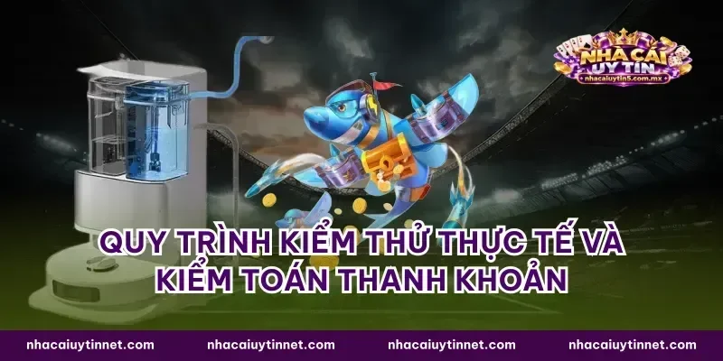 Quy trình kiểm thử thực tế và kiểm toán thanh khoản