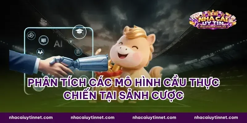 Phân tích các mô hình cầu thực chiến tại sảnh cược